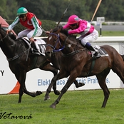 European Jockey’s Cup ovládli tříletí a Demuro