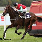 European Jockey’s Cup ovládli tříletí a Demuro