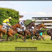 060_galopp