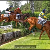 097_galopp