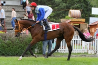 Účastníci Českého derby: Gibb‘s Beach