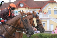 Cena města Karlovy Vary v průběhu času 