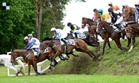 Podrobný rozbor 125. Velké pardubické