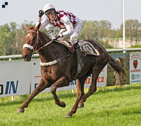 Ohlédnutí za sezónou 2013 (6. díl) – Josef Váňa ml.