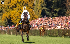 Kůň roku Galopp Reporteru: Nejlepší steepler 2013