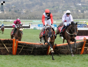 Favority World Hurdle je duo trenéra Paula Nichollse