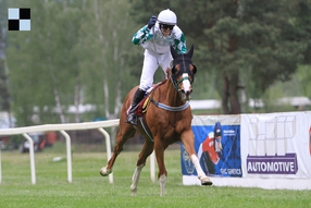 Favority Prvomájové steeplechase je duo trenéra Váni