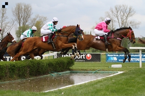 Rabbit Well jednou z osobností Prvomájové steeplechase