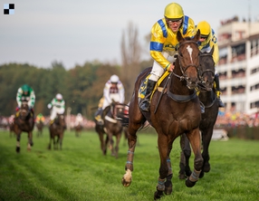 Úvodní cross country Koroka s trojicí účastníků Velké pardubické