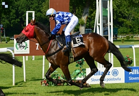 Účastníci Českého derby: Kifaaya