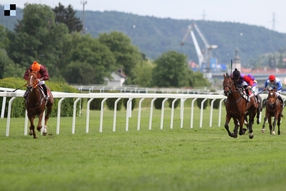 Účastníci Českého derby: Oriental Sky, Aldar a Sirius Shine