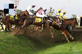 Hlasy a trenéři před Velkou pardubickou - aktualizováno