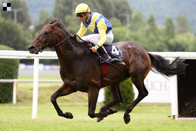 Chardonney Tcheque po třech letech míří do Mostu