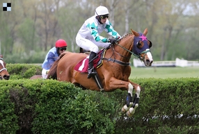 Oslaví Josef Váňa desáté trenérské vítězství v Prvomájové steeplechase?