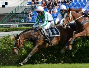 Účastníci 126. Velké pardubické: Universe Of Gracie, Amaragon a Reaper